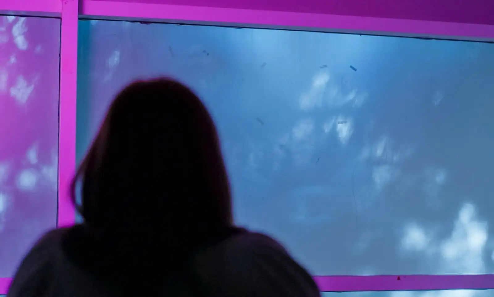 Chihuahua impulsa denuncias contra violencia familiar