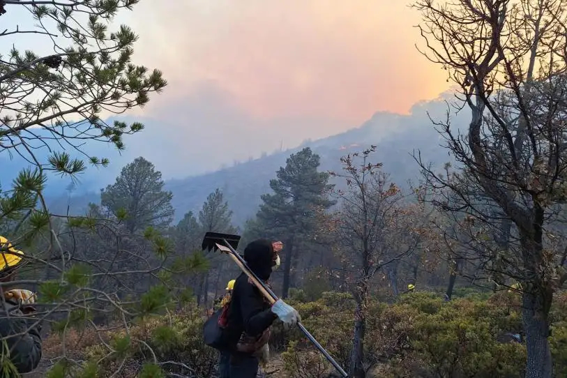 Controlan incendios forestales en tres municipios de Chihuahua