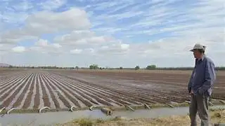 Destinan 90 mdp a tecnificación agrícola en Chihuahua