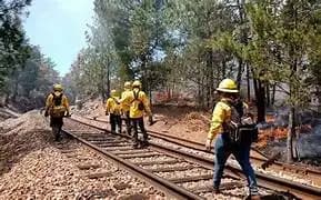 Urgen revertir recortes a CONAFOR en Chihuahua