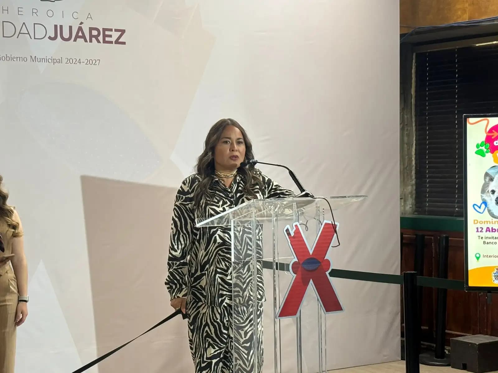 Tiene DABA 85 lomitos en adopción