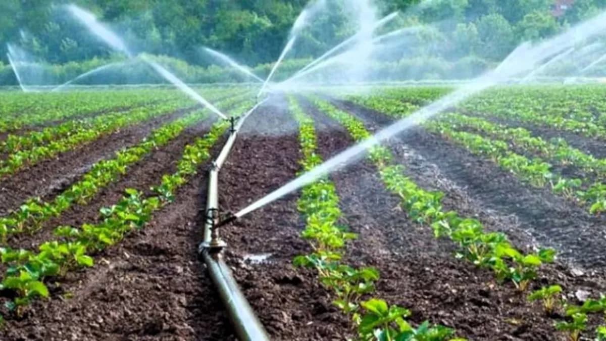 Extienden plazo para registro en PEUA 2026 en Chihuahua