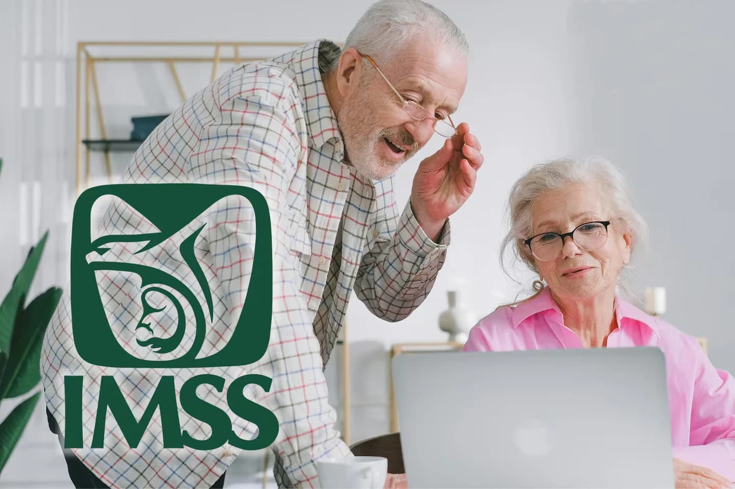 Digitalizan tarjetón para pensionados del IMSS en Chihuahua