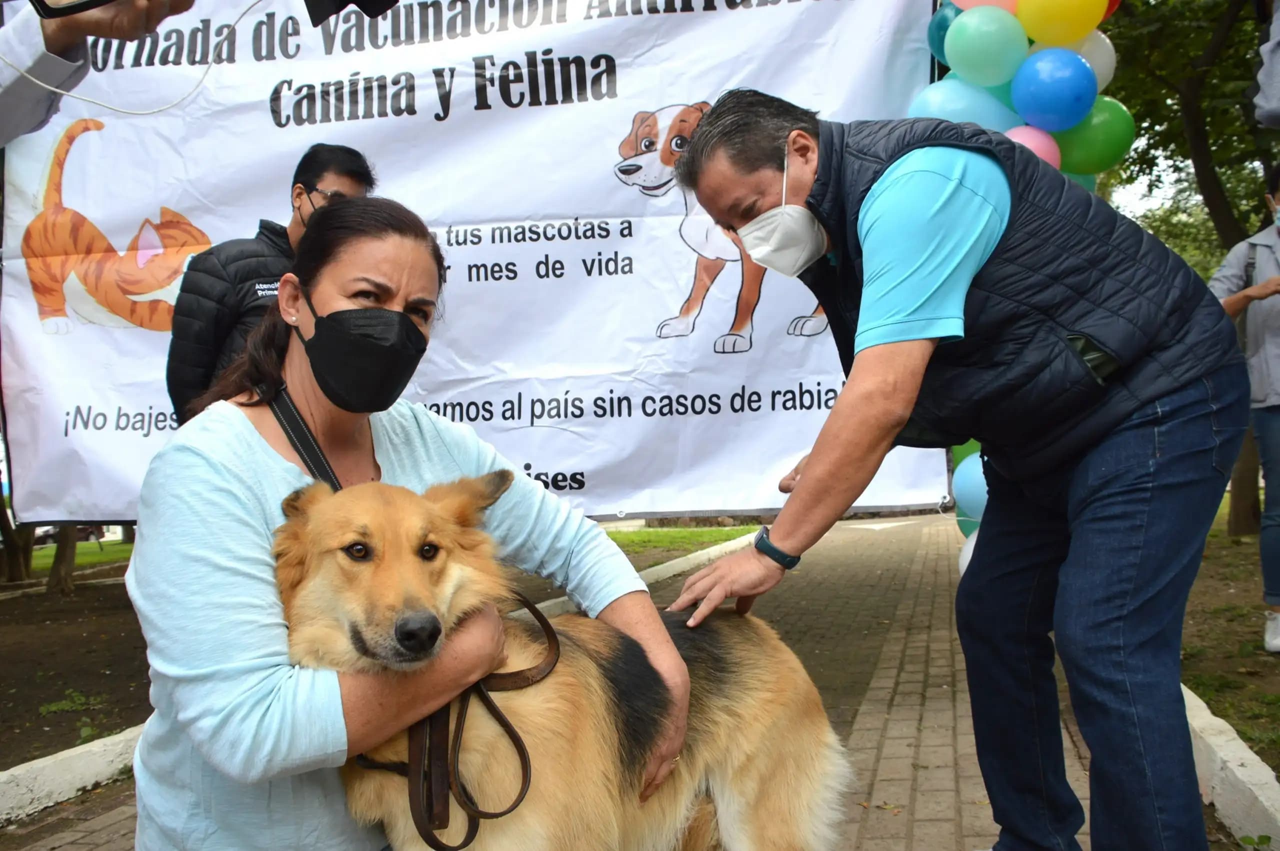 Inician campaña antirrábica gratuita en Ascensión